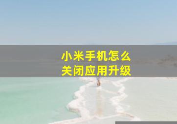 小米手机怎么关闭应用升级