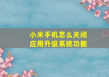 小米手机怎么关闭应用升级系统功能