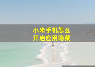 小米手机怎么开启应用隐藏