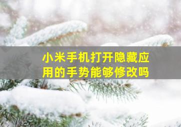 小米手机打开隐藏应用的手势能够修改吗