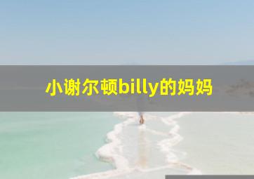 小谢尔顿billy的妈妈