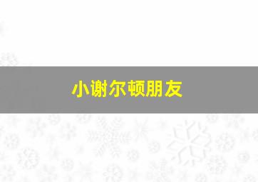 小谢尔顿朋友