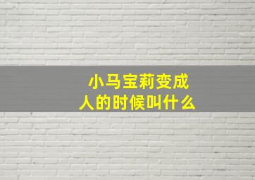 小马宝莉变成人的时候叫什么