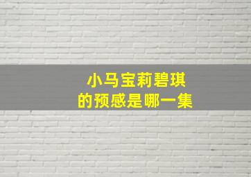 小马宝莉碧琪的预感是哪一集