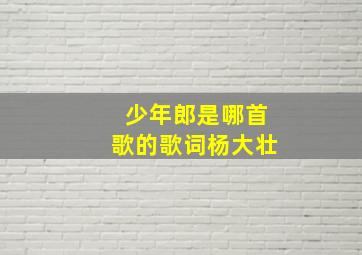 少年郎是哪首歌的歌词杨大壮