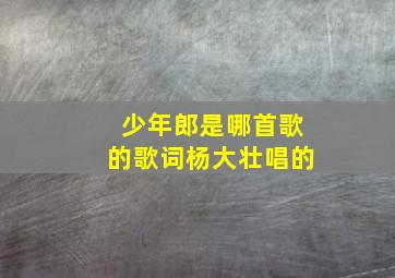 少年郎是哪首歌的歌词杨大壮唱的