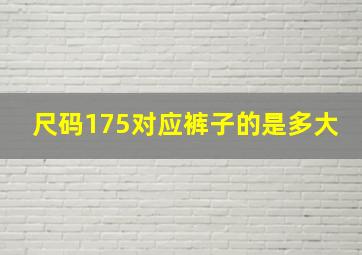 尺码175对应裤子的是多大