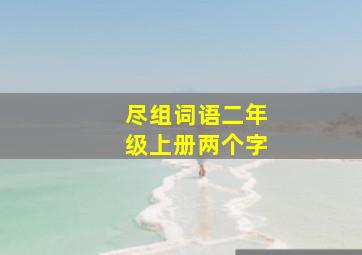 尽组词语二年级上册两个字