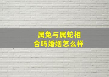 属兔与属蛇相合吗婚姻怎么样