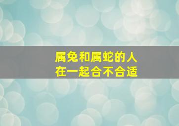 属兔和属蛇的人在一起合不合适