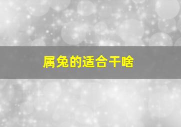 属兔的适合干啥