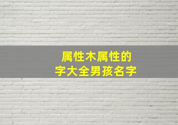 属性木属性的字大全男孩名字