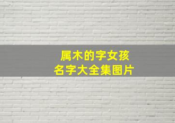 属木的字女孩名字大全集图片