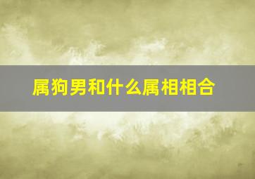 属狗男和什么属相相合