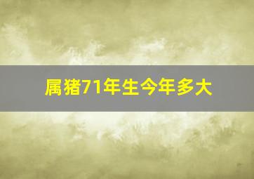 属猪71年生今年多大