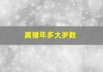 属猪年多大岁数