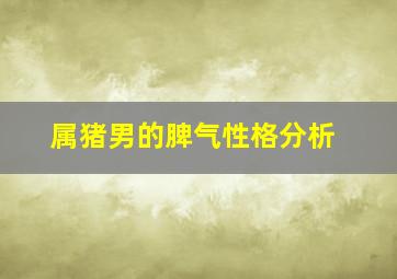 属猪男的脾气性格分析