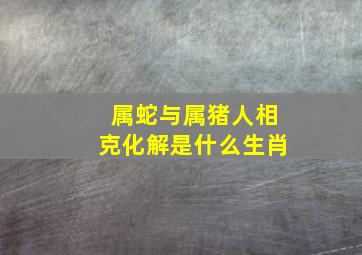 属蛇与属猪人相克化解是什么生肖