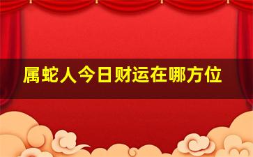 属蛇人今日财运在哪方位