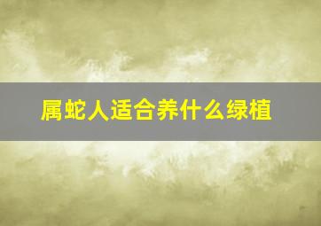 属蛇人适合养什么绿植