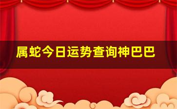 属蛇今日运势查询神巴巴