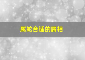 属蛇合适的属相