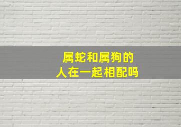 属蛇和属狗的人在一起相配吗