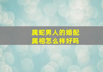 属蛇男人的婚配属相怎么样好吗