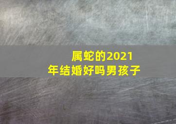 属蛇的2021年结婚好吗男孩子