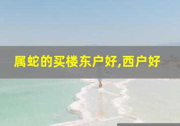 属蛇的买楼东户好,西户好