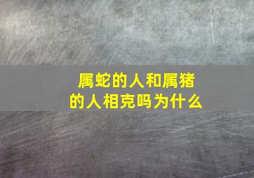 属蛇的人和属猪的人相克吗为什么