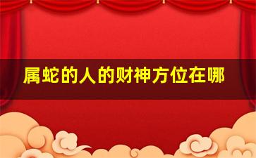 属蛇的人的财神方位在哪