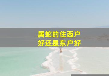 属蛇的住西户好还是东户好