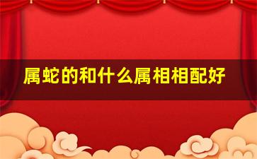 属蛇的和什么属相相配好