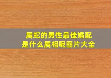 属蛇的男性最佳婚配是什么属相呢图片大全