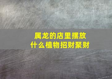 属龙的店里摆放什么植物招财聚财