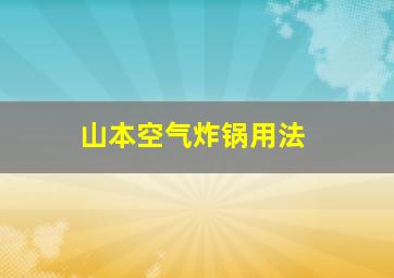 山本空气炸锅用法