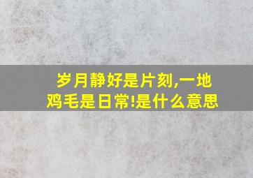 岁月静好是片刻,一地鸡毛是日常!是什么意思