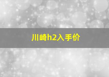 川崎h2入手价