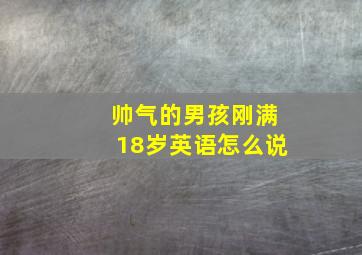 帅气的男孩刚满18岁英语怎么说