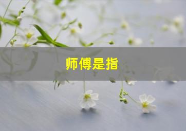 师傅是指