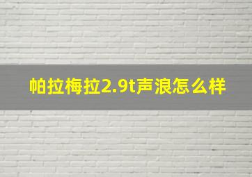 帕拉梅拉2.9t声浪怎么样