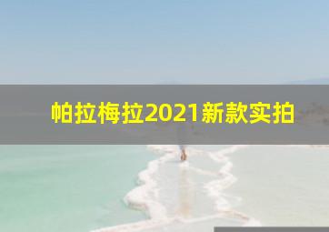 帕拉梅拉2021新款实拍