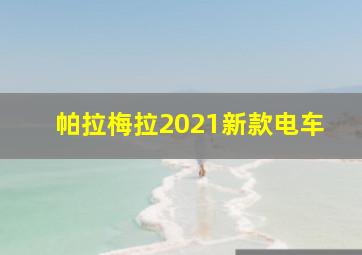 帕拉梅拉2021新款电车