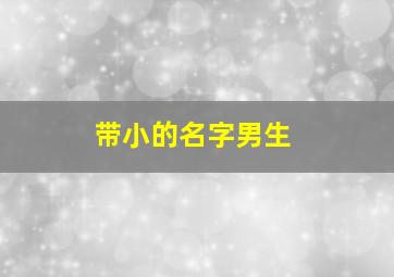 带小的名字男生