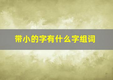 带小的字有什么字组词