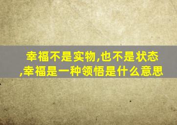 幸福不是实物,也不是状态,幸福是一种领悟是什么意思