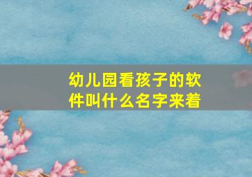 幼儿园看孩子的软件叫什么名字来着