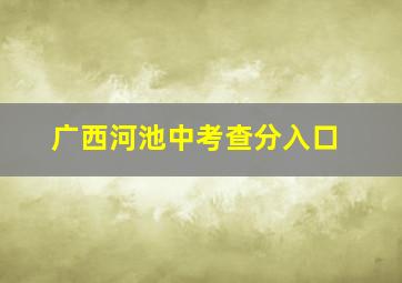 广西河池中考查分入口