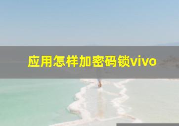 应用怎样加密码锁vivo